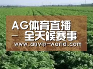 种植基地五(图1)
