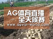 种植基地七(图1)