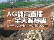 种植基地八