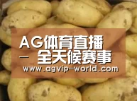 产品展示标题6