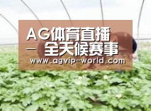 种植基地三