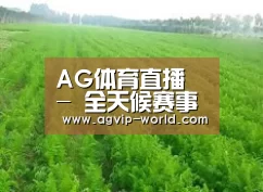 种植基地四