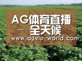 种植基地五