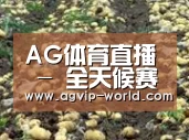 种植基地八(图1)