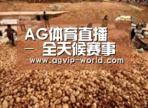 种植基地二