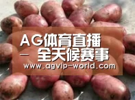 产品展示标题5(图1)