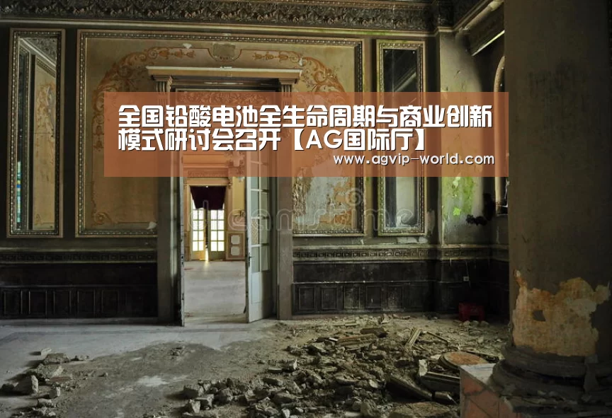 全国铅酸电池全生命周期与商业创新模式研讨会召开【AG国际厅】(图2) AG平台
